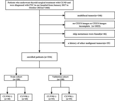 Development and validation of a dynamic nomogram based on conventional ultrasound and contrast-enhanced ultrasound for stratifying the risk of central lymph node metastasis in papillary thyroid carcinoma preoperatively